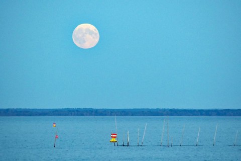 Moon over calm water with buoys, nocturnal atmosphere, Müritz, Müritz National Park,