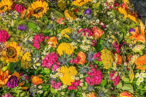 Flowers on a fresh grave in the cemetery