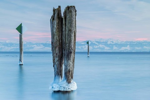 Icy wooden piles in the still, blue water under an expansive sky in winter, harbour, Immenstaad,