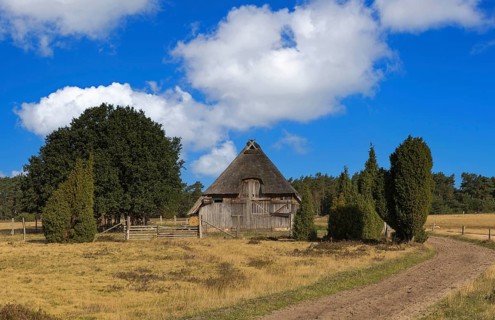 Old sheepfold in the Lüneburg Heath, Germany, Lower Saxony, Undeloh, Lower Saxony, Federal Republic