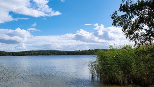 View over the Scharmützelsee, Wendisch-Rietz, Brandenburg, Germany, Europe