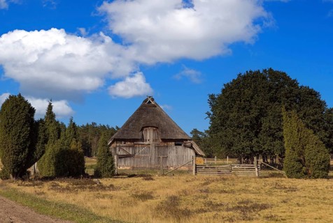 Old sheepfold in the Lüneburg Heath, Germany, Lower Saxony, Undeloh, Lower Saxony, Federal Republic