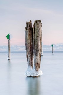 Icy wooden piles protrude from a calm, pastel-coloured body of water in a wintry atmosphere,