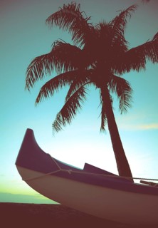 Retro Styled Photo Of Outrigger Canoe And Palm Tree In Hawaii