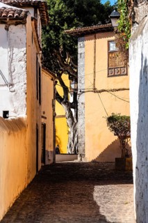 Icod de los Vinos, Spain, August 12, 2021: Scenic view of the old town of Icod de los Vinos,