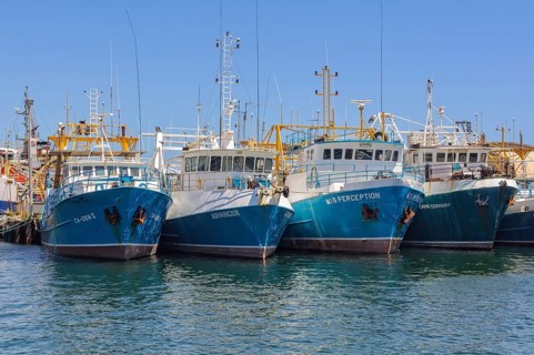 Fishing boats in the harbour, Fremantle, WA, Australia, Oceania