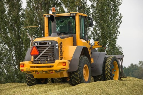 Agriculture shredded corn silage with a yellow shovel in the Netherlands