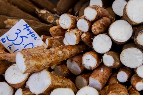 Fruit and vegetable market, market hall, manioc (Manihot esculenta), old town, Port Louis, Indian