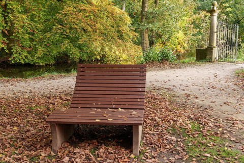 A wooden bench stands on a leaf-covered path amidst autumn-coloured trees, Borken, Münsterland,