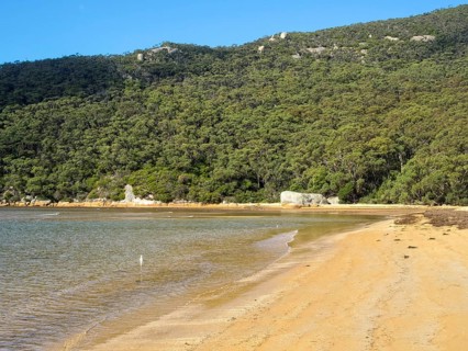 This lovely sandy beach is a great reward at the end of the Telegraph Saddle to Sealers Cove track,