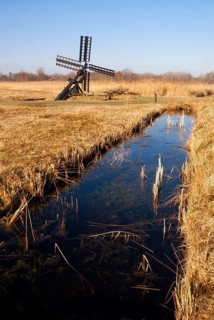 Paaltjasker windmill in a harvest reedfield in nature reserve and national park Weerribben-Wieden