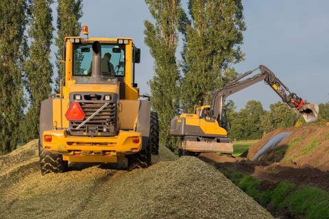 Agriculture shredded corn silage with a yellow shovel and excavator in the Netherlands