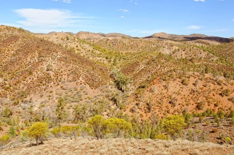View from the Bunyeroo Valley Lookout of Wilpena Pound, Flinders Ranges, SA, Australia, Oceania