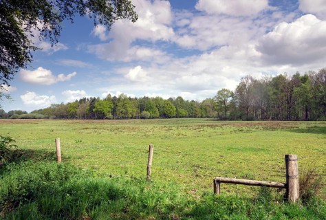 View over a meadow in the Pannenhoef nature reserve located between Zundert, Etten-Leur and