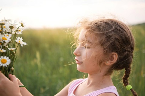 Portrait cute child girl with a bouquet of chamomile in summer on a green natural background. Happy
