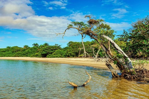 Deserted and wild beach in Serra Grande on the south coast of the state of Bahia