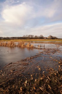 The former Schokland Island in the Dutch Noordoostpolder has been placed on the UNESCO World