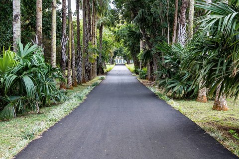 Hiking trails, palm trees, Sir Seewoosagur Ramgoolam Botanical Garden, SSR Botanical Garden, also