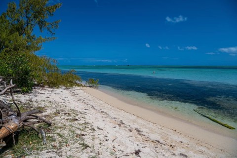 Beach, Beach, Ile aux Benitiers, Le Morne Brabant, West coast, Indian Ocean, Island, Mauritius,