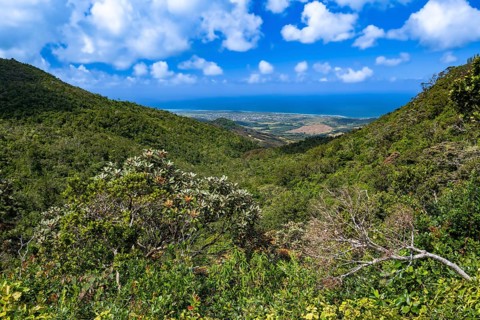View, Black River Gorges National Park, Biosphere Reserve, Bel Ombre, Indian Ocean, Island,