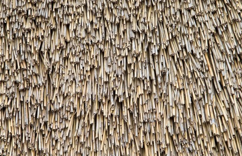 Image shows a detailed view of a thatch roof