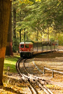 Large garden with park railway