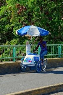 A street vendor selling ice cream rides his bicycle under a blue umbrella in a tropical