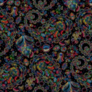 Beautiful paisley repeating pattern with floral motif in colors over black