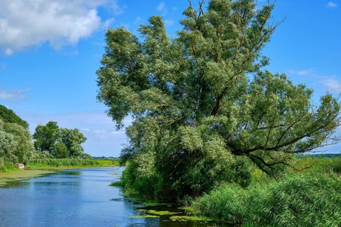 Picturesque river landscape, view from the heritage-protected wooden bascule bridge over the Trebel