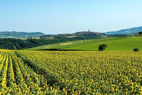 Village of Montpeyroux labelled Les Plus Beaux Villages de France, Puy de Dome,