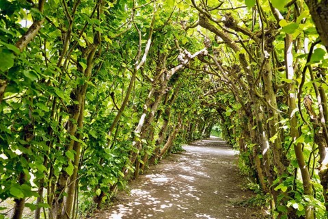 Bergpark Wilhelmshöhe, UNESCO World Heritage Site, Kassel, Hesse, Germany, Europe