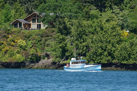 Small fishing boat in front of forest and single house, good weather, Ucluelet, Pacific Rim