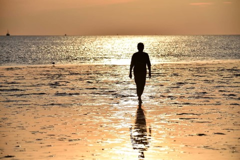 Woman walking on the mudflats at sunset, Schleswig-Holstein, Germany, Europe