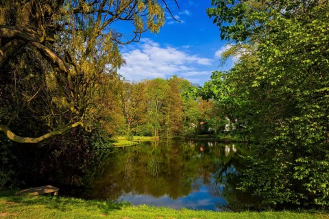 Diesbar Seußlitz Castle Park