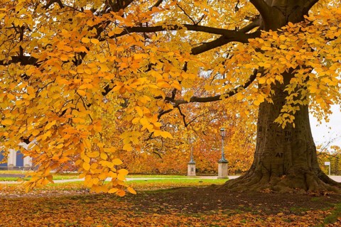 About 15 kilometres east of Dresden city centre, directly on the Elbe, lies Pillnitz Palace & Park,