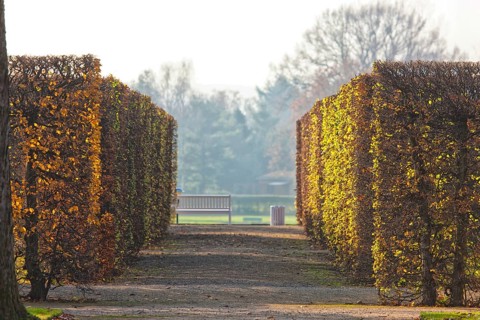 (© Sylvio Dittrich +49 1772156417) About 15 kilometres east of Dresden city centre, directly on the