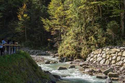 Mountain river Partnach, near the entrance to the Partnach Gorge, Wetterstein Mountains,