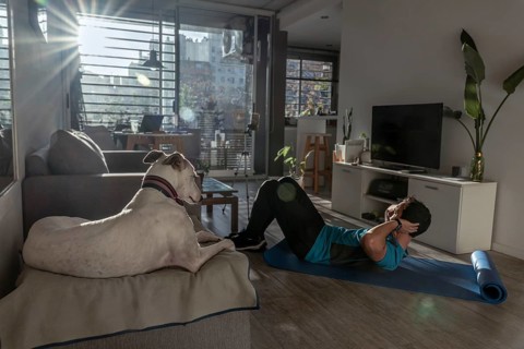 Fit man training at home with his dog. Environment illuminated with rays of sunlight