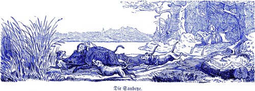 Boar Rush, Wild Boar, Hubertus Hunting and Hunting Scenes, Wild Animals, Sow, Dogs, Rush, Forest,