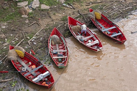 Little red wooden fishing boats on the shore of the Rio Paraná, Parana River near the city