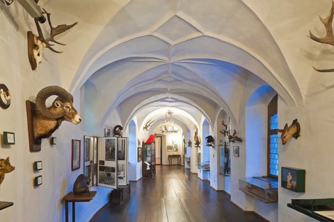 Lauenstein Castle in the Ore Mountains
