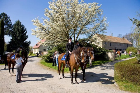 Every year at Easter there are about 5 processions in Lusatia, each with about 200 riders. The