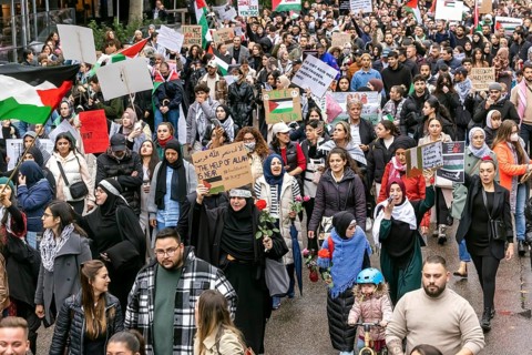 Rally of pro-Palestinian demonstrators. They demand an end to the oppression of the Palestinians