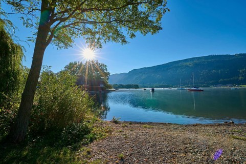 Lakeside, Tree, Sun, Morning, Summer, Steindorf am Lake Ossiach, Lake Ossiach, Carinthia, Austria,