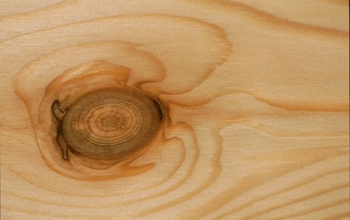 Wood structure, birch wood with stone finish