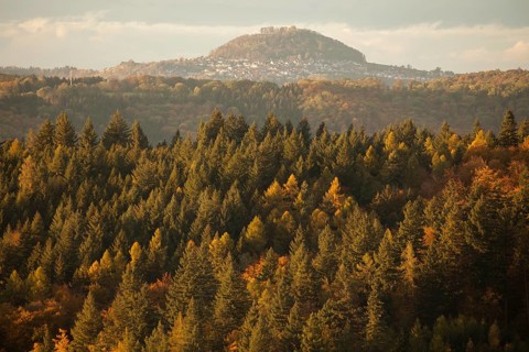 The Hohenstaufen in autumn