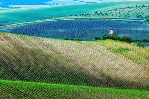 Rural Europe background, Moravian rolling landscape with hunting tower shack on sunset. Moravia,