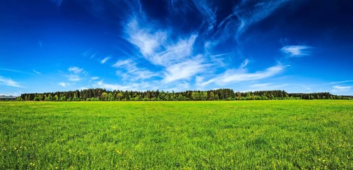 Panorama of summer meadow pastoral idyllic serene scene. Bavaria, Germany, Europe