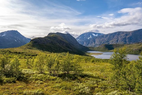 Barren mountain landscape with lake and birch trees, Knutshøe mountain and Leirungen nedre lake,