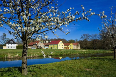 Sollschwitz is a district of the town of Wittichenau in the district of Bautzen in Saxony. The